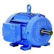 WEG NEMA PEM 00509ET3E254T-W22, 900 RPM, 5 HP, TEFC, 208-230/460 V, 254T, 3 PH