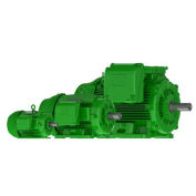 WEG Super PEM 20036EG3G447TS-W22, 3600 RPM, 200 HP, 3 PH, 460 V, 445/7TS