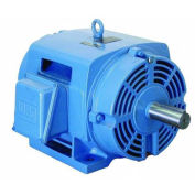 WEG NEMA PEM 00212OT3E184T, 1200 RPM, 2 HP, ODP, 208-230/460 V, 184T, 3 PH