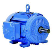 WEG NEMA PEM 00318ET3ER182TC-W22, 1800RPM, 3HP, TEFC, 208-230/460V, 182TC, 3PH