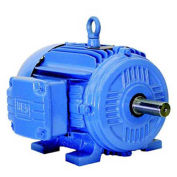 WEG NEMA PEM 00318ET3E182T-W22, 1800 RPM, 3 HP, TEFC, 208-230/460 V, 182T, 3PH