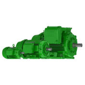 WEG Super PEM 02012EG3E286T-W22, 1200 RPM, 20 HP, 3 PH, 208-230/460 V, 286T