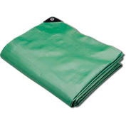 Hygrade Heavy Duty Super Cover Poly Tarp, 10 Mil, Green/Black, 15'L X 30'W