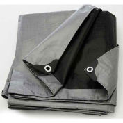 Tarp, 14x14 Weave, 30' x 40', Silver/Black
