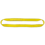 Liftex Pro-Edge 20'L-1"W 1 Ply Endless Poly Flat Web Sling