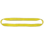 Liftex Pro-Edge 3'L-1"W 2 Ply Endless Poly Flat Web Sling