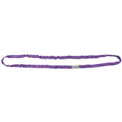 Liftex RoundUp™ 3/4"W 16'L Endless Poly Roundsling, Purple