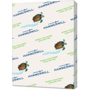 Hammermill Recycled Colored Paper 102889CT, 8-1/2" x 11", Gray, 5000 Sheets/Ctn