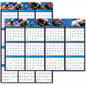 House of Doolittle Recycled Earthscapes Sea Life Scenes Reversible Wall Calendar, 24 x 37, 2024