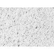 USG Frost™ ClimaPlus™ Ceiling Panel Mineral Fiber WHT 24" x 24" Shadowline Edge W/Bevel