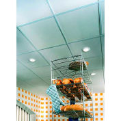 USG Sheetrock™ Ceiling Panels, Gypsum Panel, White, 48" x 24", 4 Tiles/Pack