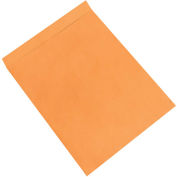 Kraft Jumbo Envelopes, 22" x 27", 100 Pack, EN1086