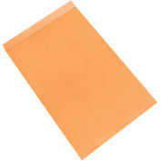 Kraft Jumbo Envelopes, 24" x 36", 100 Pack, EN1088