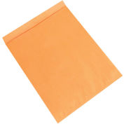 Kraft Jumbo Envelopes, 24" x 30", 100 Pack, EN1087