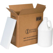 Box Partners 1 Gallon Plastic Jug Shipper Kit - 2 Kits 12" x 6" x 12-3/4", HAZ1131