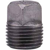 Anvil 0818902405 Anvil 3/4" Black Malleable Square Head Plug