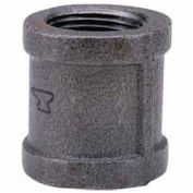 Anvil 0810080218 1/2" Black Malleable Coupling, Lead Free, 150 PSI