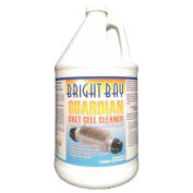 Guardian Salt Cell Cleaner, Gallon Bottle 4/Case -