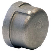 KINGDOM K416-12 KINGDOM 3/4" 304 Stainless Steel Cap, FNPT