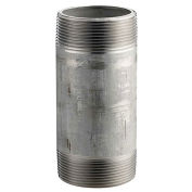 Merit Brass 1-1/4" X 2" 304 Stainless Steel Pipe Nipple