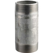 Merit Brass 1/2" X 2" 304 Stainless Steel Pipe Nipple