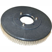 13" Poly Scrub Brush for 26" Auto Floor Scrubber, VF83127