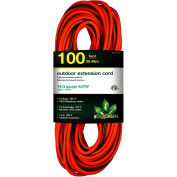 14/3 SJTW-A 100' Extension Cord - Lighted Ends, Orange/Green