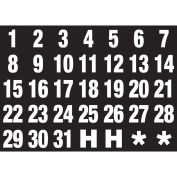 Magnetic Headings Calendar Dates (1-31), White on Black