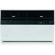 Friedrich® SL24N30C Commercial Kuhl Window/Wall Air Conditioner 9.8 EER, 24000 BTU