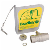 Bradley 1/2" Ball Valve & Dust Cover Handle, S30-072
