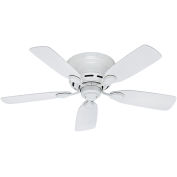 Hunter Fan 51059 Low Profile® IV 42" Indoor Ceiling Fan White