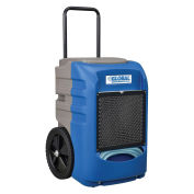 Commercial Grade Refrigeration Dehumidifier, 145 Pints Day Dehumidification with Water Pump