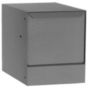 dVault Thru-Wall Package Drop with Tilt-Out Door, Gray