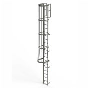 EGA FC20 Steel Fixed Cage Ladder, 20 Step, Gray