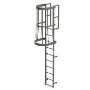 EGA FC10 Steel Fixed Cage Ladder, 10 Step, Gray