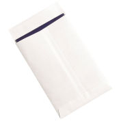 Ship-Lite Flat Envelopes, White, 6" x 9", 100 Pack, SLF0609WH