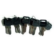 Key Blanks, For Use with Global Industrial Cell Phone Lockers, 10 Pack