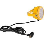 20W LED Dock Light Head Only, 1800 Lumens, 5000K, On/Off Switch, 9' Cord w/Plug