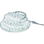 Buyers 5625576, 52.5 Foot Clear Rope Light With 576 LED, Includes Mounting Hardware And Cable