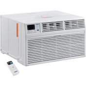 10,000 BTU Through The Wall Air Conditioner, Cool with Heat, 208/230V