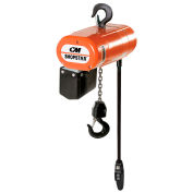 CM® Shopstar 300 Lb. Electric Chain Hoist, 10' Lift, 16 FPM, 115V
