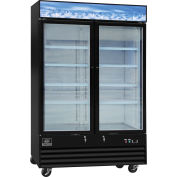 2 Door Merchandiser Freezer, 45 Cu. Ft., 53-1/8"W x 31-7/8'D x 79-3/8"H