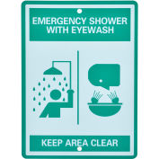 Emergency Eyewash/Shower Station Sign, Replacement