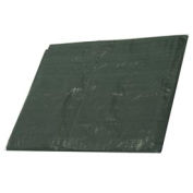 Forest Green Tarp 4.5 OZ., 10'x10'