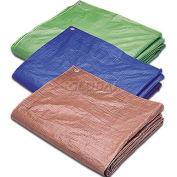 Hygrade Blue Poly Tarp, 5 Mil, 12'L X 12'W