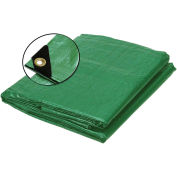 Tarp, 12x12 Weave, 30' x 40', Green