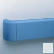 Heavy-Duty 5.5" Face Handrail/Wall Guard, 12' Long, Blue Ice