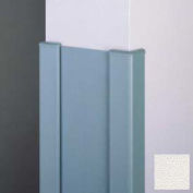 End Wall 90° Corners, 2'' Wings, 4'H W/Caps, 6"W, Pearl, Aluminum