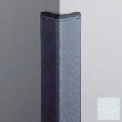 Corner Guard 90°, 2'' Wings, 4'H W/Caps, BL Ice