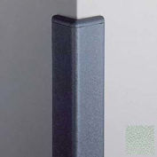 Corner Guard 90°, 2'' Wings, 8'H With Caps, Sea Foam